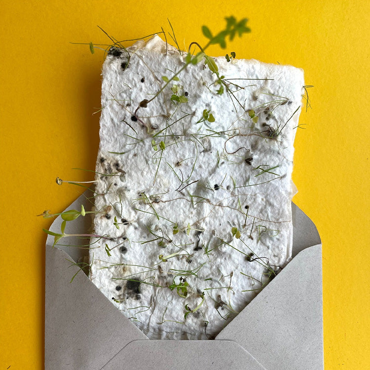 Customize Blooming Seed Paper Cards