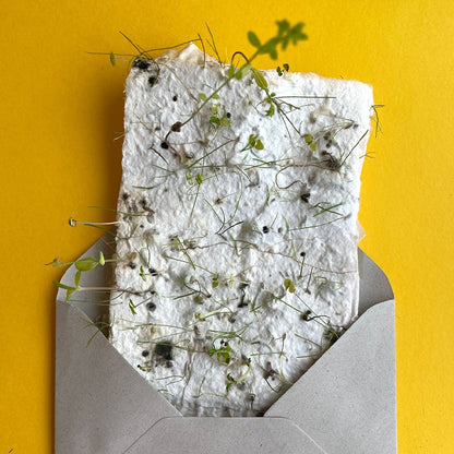 Customize Blooming Seed Paper Cards